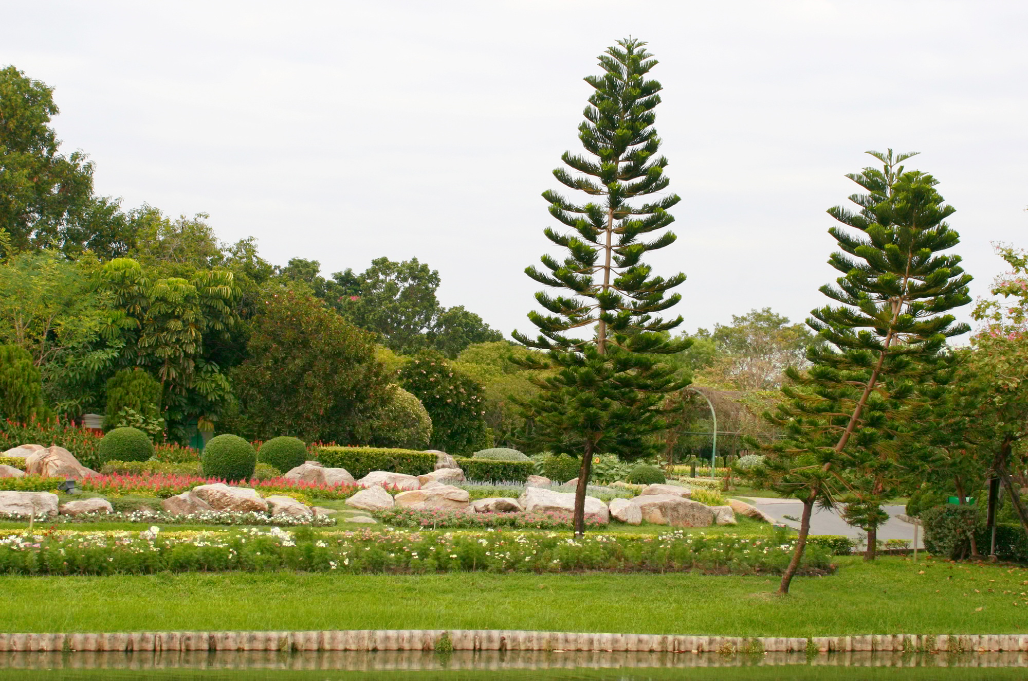 Outdoor landscape garden with pond